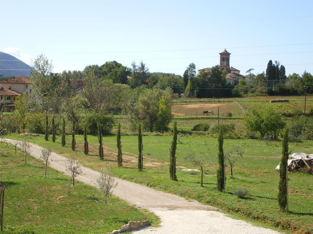 Agriturismo Ai Linchi Lucques Extérieur photo